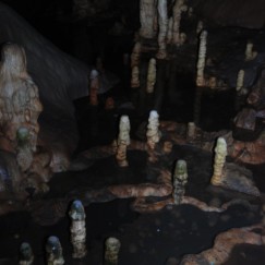 Wspaniałe stalagmity wyłaniające się z mis naciekowych.