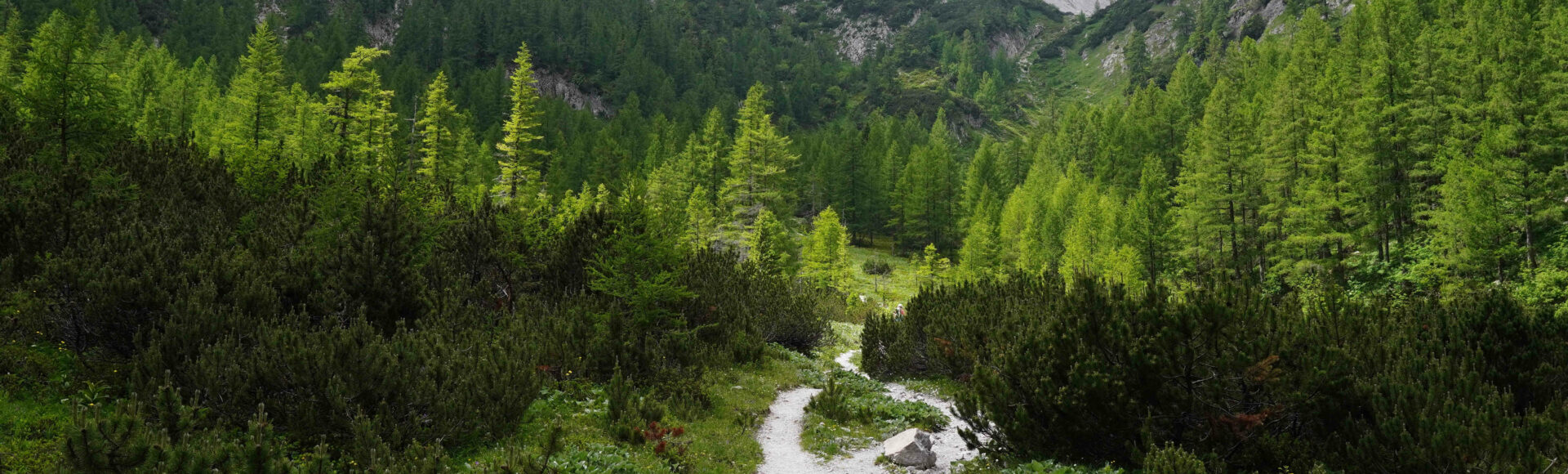 Hochschwab 2277 m.n.p.m.